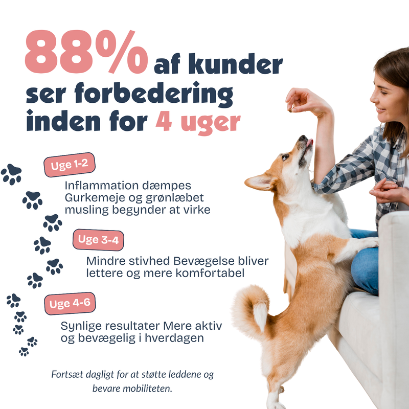 Hofte & Led Godbidder
