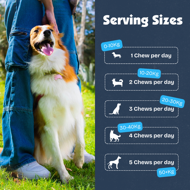 Hip & Joint Chews