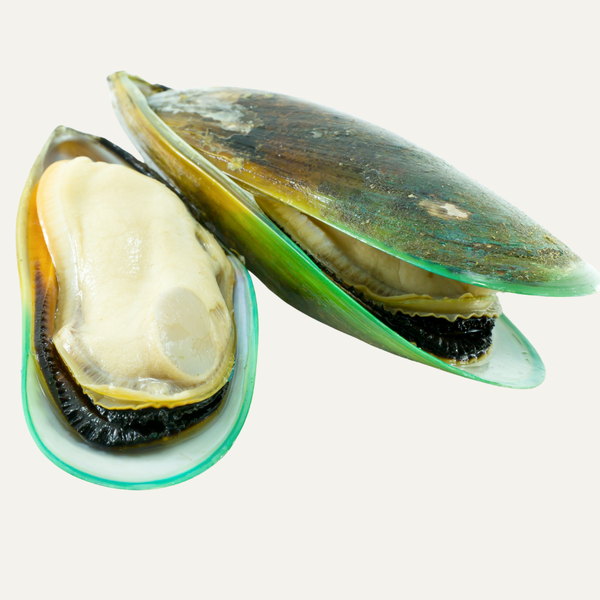 Green Lipped Mussel
