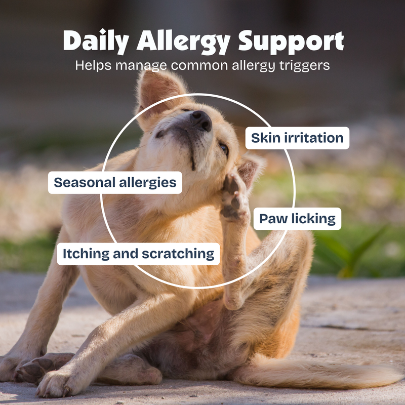 Allergy & Itch