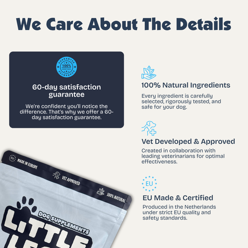 Calm & Balance Chews