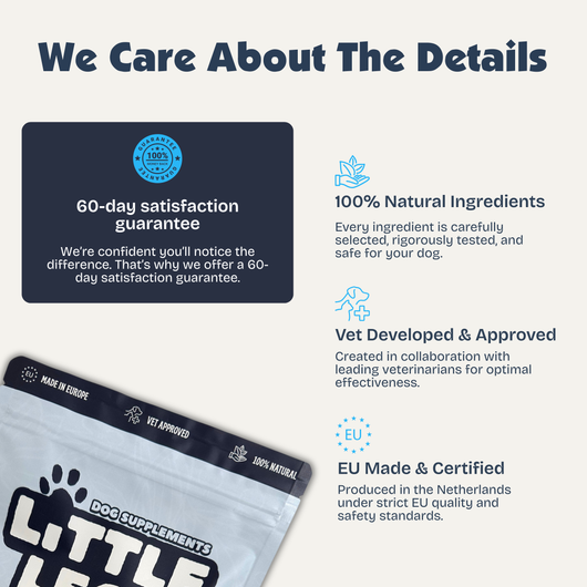 Calm & Balance Chews