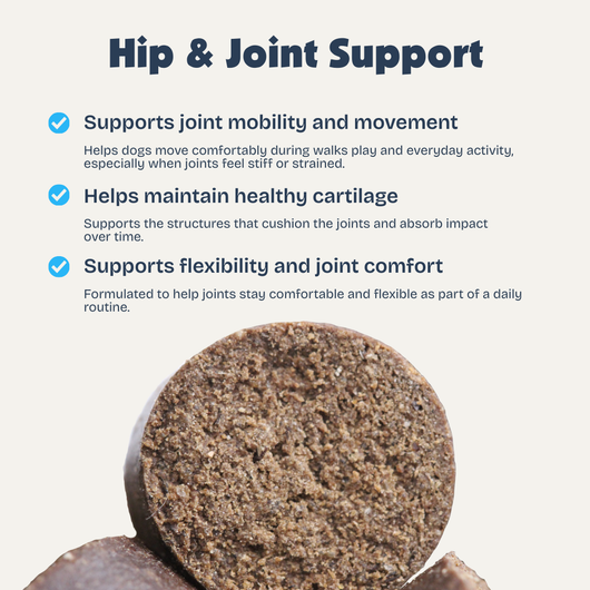 Hip & Joint Chews