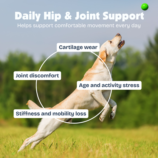 Hip & Joint Chews