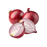 Glucosamine & Chondroitin
